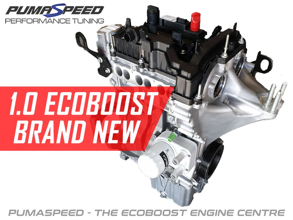 The Future of the 1.0 EcoBoost Engine